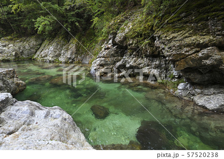 前鬼川　不動七重の滝周辺（奈良県吉野郡下北山村） 57520238