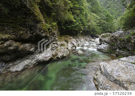 前鬼川　不動七重の滝周辺（奈良県吉野郡下北山村） 57520239