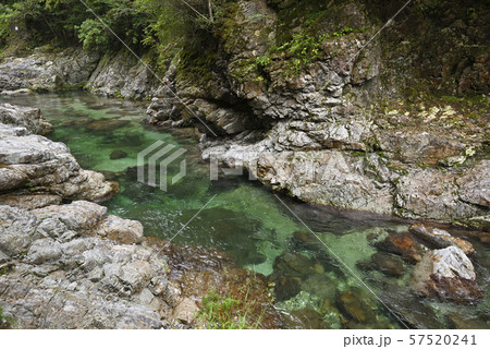 前鬼川　不動七重の滝周辺（奈良県吉野郡下北山村） 57520241
