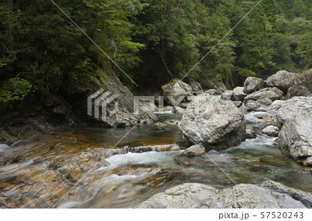 前鬼川 不動七重の滝周辺(奈良県吉野郡下北山村) 前鬼川 不動七重の滝周辺(奈良県吉野郡下北山村) 57520243