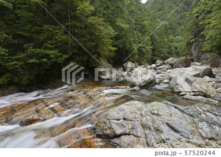 前鬼川 不動七重の滝周辺 奈良県吉野郡下北山村 の写真素材