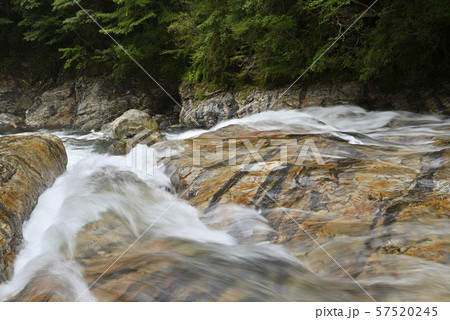 前鬼川　不動七重の滝周辺（奈良県吉野郡下北山村） 57520245