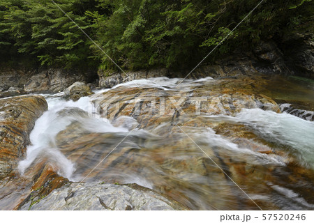 前鬼川　不動七重の滝周辺（奈良県吉野郡下北山村） 57520246