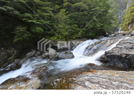 前鬼川　不動七重の滝周辺（奈良県吉野郡下北山村） 57520249