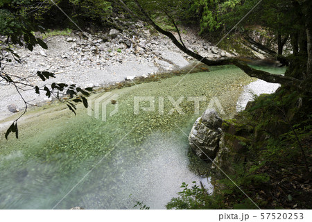 前鬼川　不動七重の滝周辺（奈良県吉野郡下北山村） 57520253