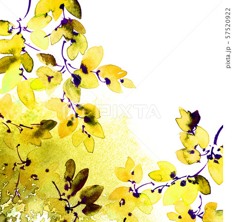 Watercolor and ink painted tree branch with leaves Watercolor and ink painted tree branch with leaves 57520922