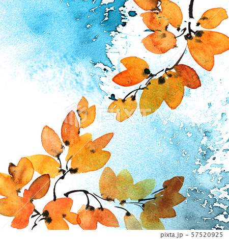Watercolor and ink painted tree branch with leaves Watercolor and ink painted tree branch with leaves 57520925