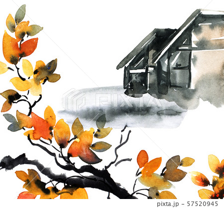 Modern house and tree 57520945