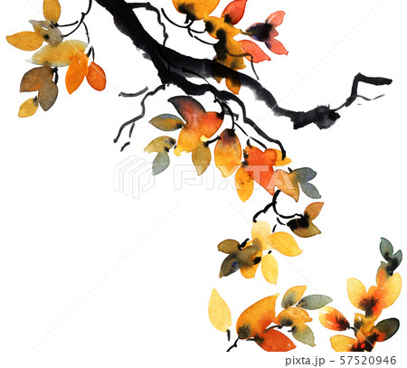 Watercolor and ink painted tree branch with leaves Watercolor and ink painted tree branch with leaves 57520946