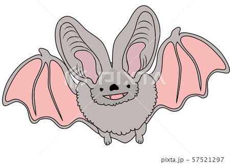 Cute bat on a white background. Cartoon...のイラスト素材 [57521297] - PIXTA
