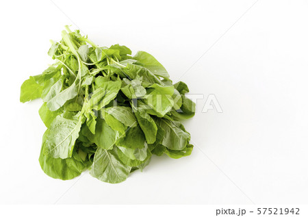 アマランサスの葉（葉野菜） 57521942