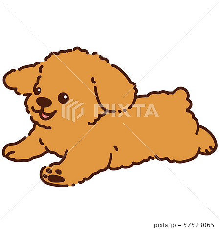 Run Toy Poodle Stock Illustration