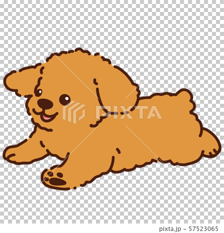 Run Toy Poodle Stock Illustration