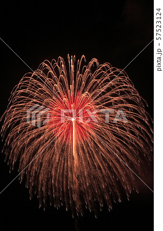 【茨城県】土浦の花火　土浦全国花火競技大会 57523124