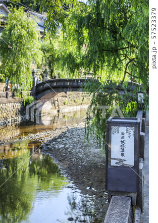 城崎温泉行燈越しに新緑の柳と石橋を見る 57523379