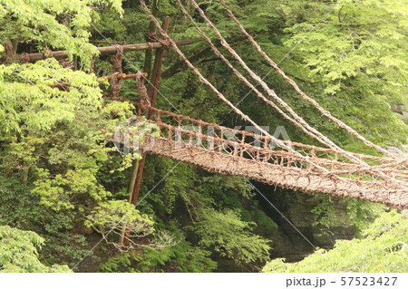 かずら橋 57523427