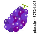 ぶどう ぶどう 57524108