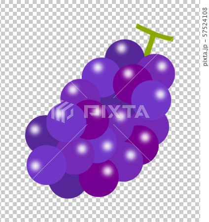 Grape Grape 57524108