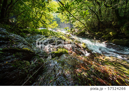 風景 風景 57524266