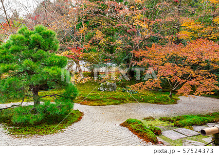 本堂前庭 天授庵 本堂前庭 天授庵 57524373