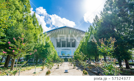 埼玉スタジアム2002 57524377