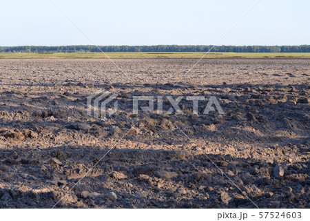 Plowed field at august. 57524603
