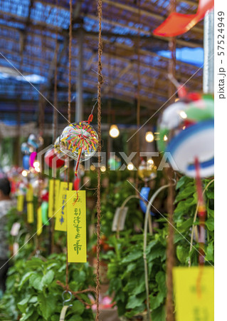 【浅草 浅草寺 ほおずき市】 【浅草 浅草寺 ほおずき市】 57524949