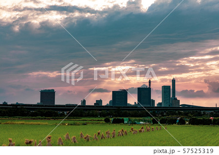 さいたま新都心と見沼田んぼの夕景 57525319