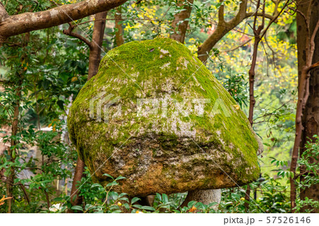 大きな自然石