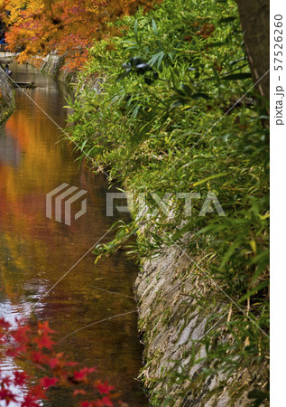 京都にある哲学の道の紅葉風景。 京都にある哲学の道の紅葉風景。 57526260