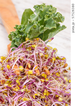 Wooden fork with fresh kale sprouts Wooden fork with fresh kale sprouts 57526380