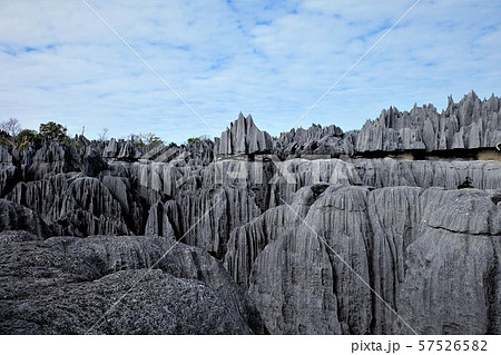 ツィンギ ベマラ マダガスカル Tsingy de Bemaraha in Madagascar ツィンギ ベマラ マダガスカル Tsingy de Bemaraha in Madagascar 57526582