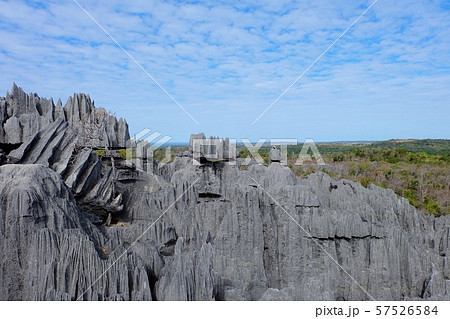 ツィンギ　ベマラ　マダガスカル　Tsingy de Bemaraha in Madagascar 57526584