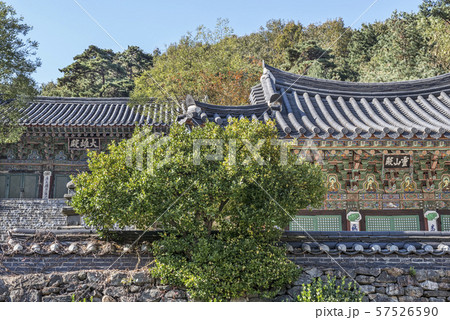 石南寺 安城市 京畿道 57526590