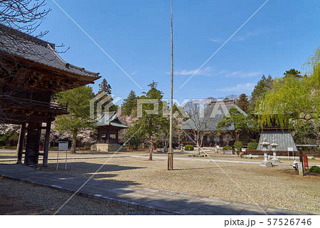 本寺高田山専修寺 境内 本寺高田山専修寺 境内 57526746