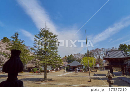 本寺高田山専修寺 境内 本寺高田山専修寺 境内 57527210