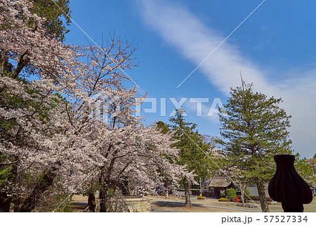 本寺高田山専修寺　境内 57527334