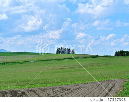 雄大な北の大地の情景 美瑛 北海道の写真素材