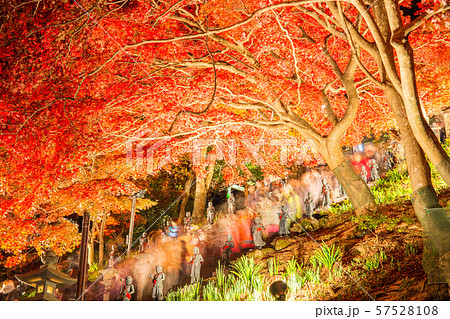 大山寺 57528108