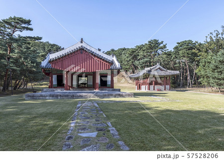 ホンインルン 瑞草区 ソウル市 57528206