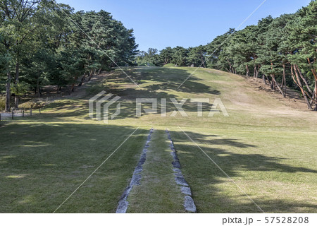 ホンインルン 瑞草区 ソウル市 57528208