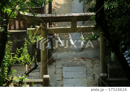 神社の階段 神社の階段 57528628