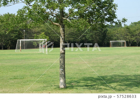 天神山公園のグランド 57528633