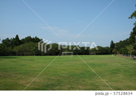 天神山公園のグランド 57528634