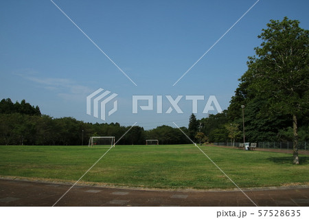 天神山公園のグランド 57528635