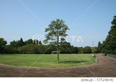 天神山公園のグランド 57528636