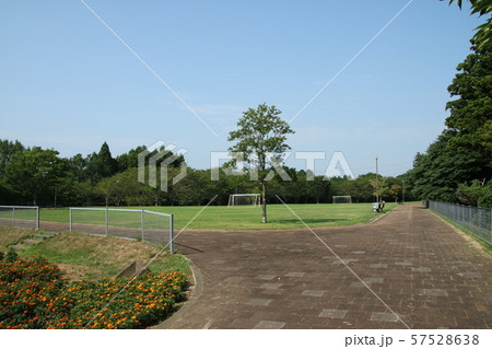 天神山公園のグランド 57528638