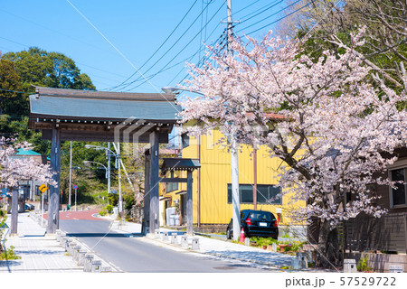 宗吾参道駅周辺の春の街並み （千葉県印旛郡酒々井町） 2019年4月撮影 57529722