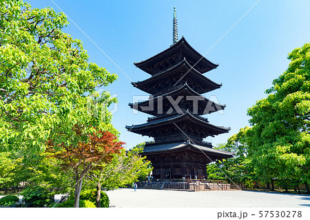京都の東寺 57530278