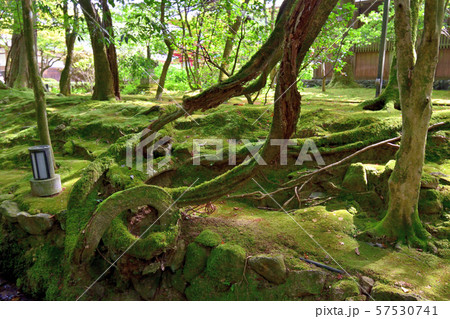 石川県　那谷寺　参道 57530741